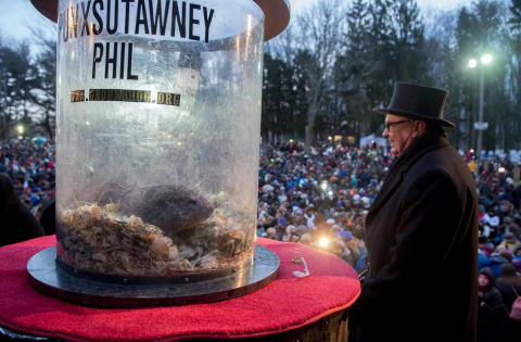 La marmota Phil predice un invierno largo.