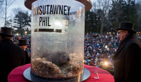 La marmota Phil predice un invierno largo.