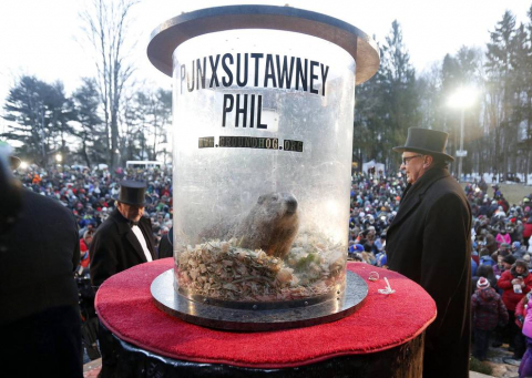 La marmota Phil predice un invierno largo.