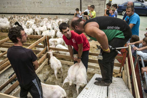 Un hotel de Pamplona paga 4.500 euros por el queso ganador del Artzai Eguna