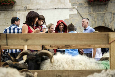 Un hotel de Pamplona paga 4.500 euros por el queso ganador del Artzai Eguna
