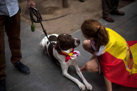 manifestación en Barcelona bajo el lema 'Cataluña sí, España también', convocada por Societat Civil Catalana, Espanya i Catalans y otras entidades contrarias a la independencia con motivo del Día de la Fiesta Nacional.