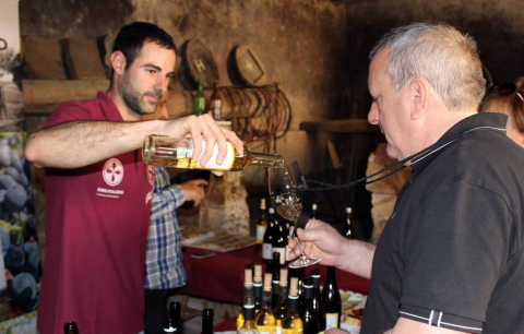 Feria de exaltación del espárrago en Dicastillo