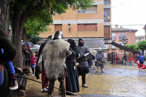 Fotos de la feria medieval y del caballo en Marcilla, con combates recreativos medievales y otras actividades.
