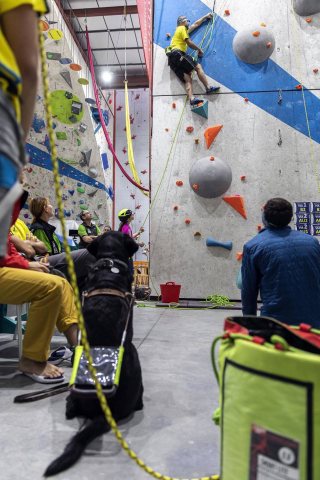 Fotos de la disputa del Campeonato de España de Paraescalada celebrado en Rocópolis