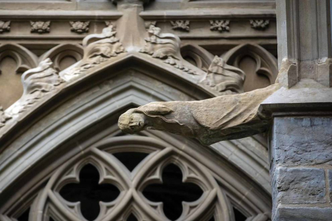 Imágenes de la visita guiada a la presentación de la finalización de las obras de restauración del claustro gótico de la Catedral de Pamplona.