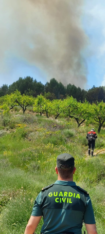 Fotos del incendio forestal que ha dejado una víctima mortal en Los Arcos.