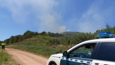 Fotos del incendio forestal que ha dejado una víctima mortal en Los Arcos.