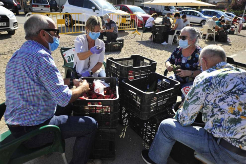 Como todos los años, la campa de la Fundación Mena de Puente la Reina desprende un olor inconfundible. Es temporada de pimiento y el tradicional mercado se ha adaptado a la pandemia
