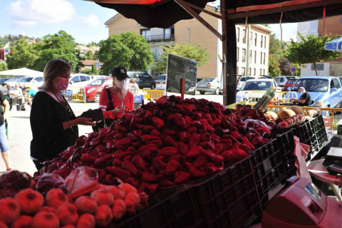 Como todos los años, la campa de la Fundación Mena de Puente la Reina desprende un olor inconfundible. Es temporada de pimiento y el tradicional mercado se ha adaptado a la pandemia