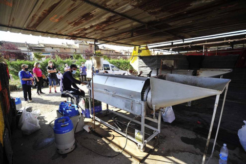 Como todos los años, la campa de la Fundación Mena de Puente la Reina desprende un olor inconfundible. Es temporada de pimiento y el tradicional mercado se ha adaptado a la pandemia