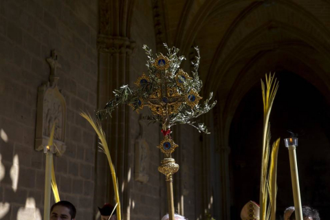 Galería de fotos de la celebración del Domingo de Ramos en la Catedral de Pamplona.