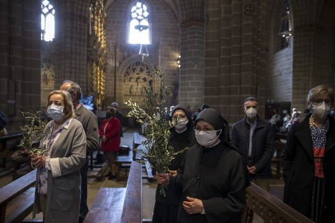 Galería de fotos de la celebración del Domingo de Ramos en la Catedral de Pamplona.