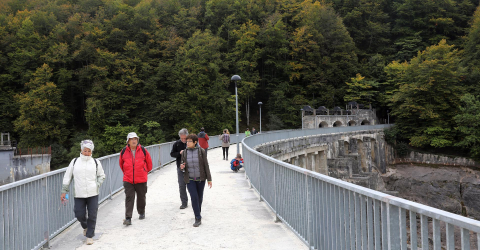 Fotografías de la Selva de Irati en este puente otoñal