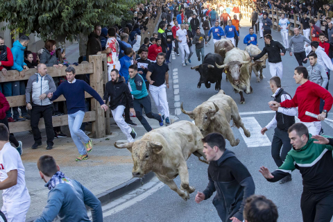 Fotos del encierro en Tafalla del 23 de octubre.