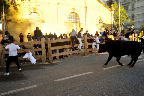 Fotos del encierro en Tafalla del 23 de octubre