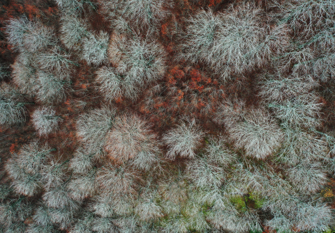 Otoño