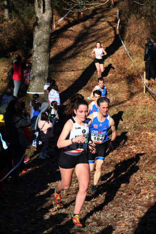 Campeonato Navarro de cross