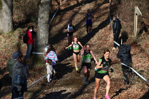Campeonato Navarro de cross