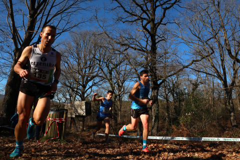 Campeonato Navarro de cross