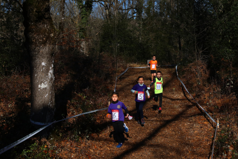 Campeonato Navarro de cross