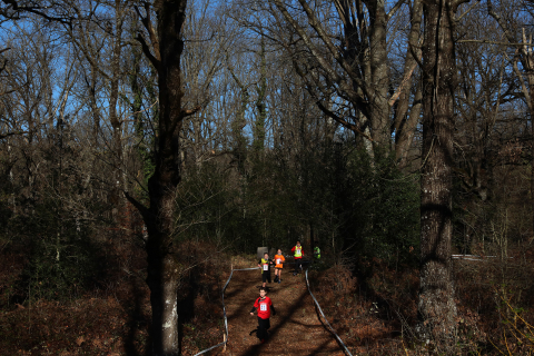 Campeonato Navarro de cross