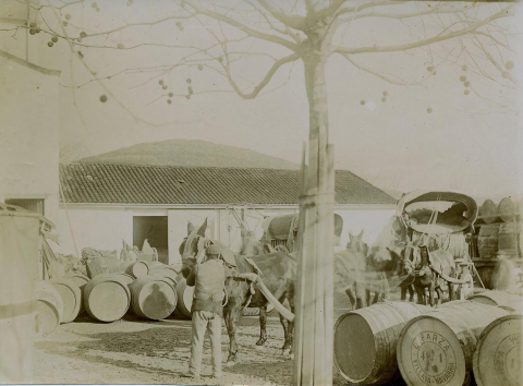 Fotos de los 150 años de historia de la empresa Basarana Las Cadenas