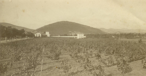 Fotos de los 150 años de historia de la empresa Basarana Las Cadenas