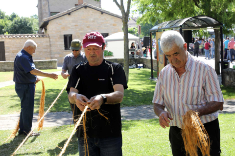 Día de la cereza del Valle de Etxauri