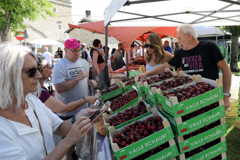 Día de la cereza del Valle de Etxauri