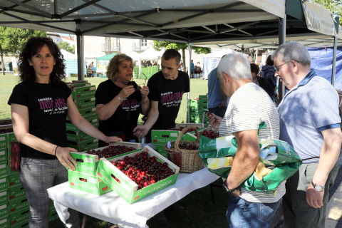 Día de la cereza del Valle de Etxauri