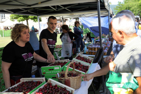 Día de la cereza del Valle de Etxauri