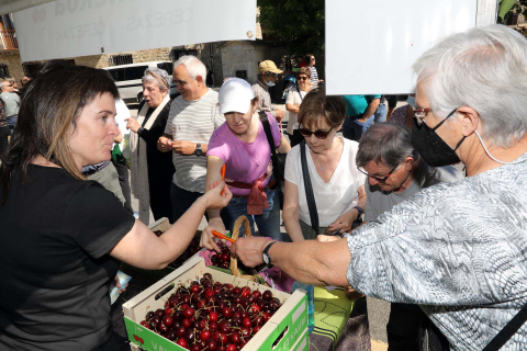 Día de la cereza del Valle de Etxauri