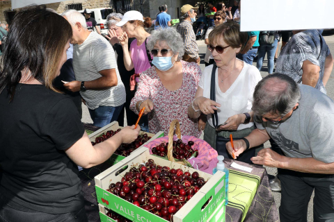 Día de la cereza del Valle de Etxauri
