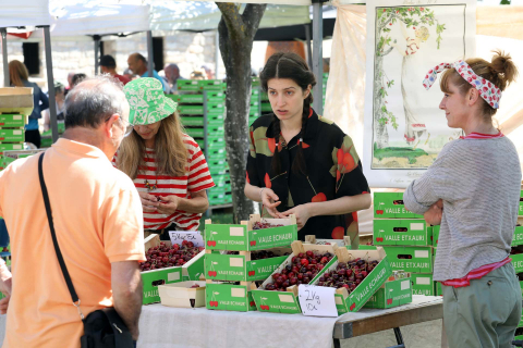 Día de la cereza del Valle de Etxauri