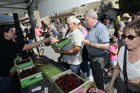 Día de la cereza del Valle de Etxauri