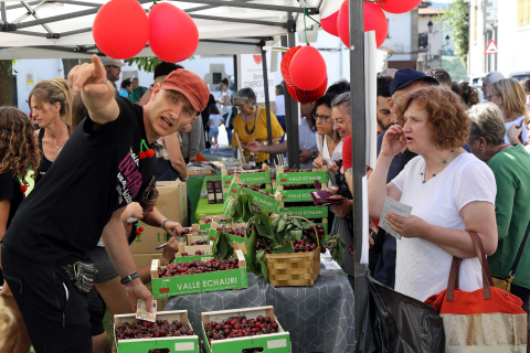 Día de la cereza del Valle de Etxauri