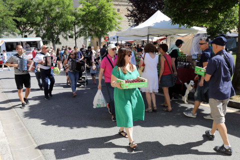 Día de la cereza del Valle de Etxauri