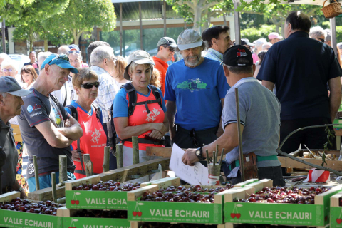 Día de la cereza del Valle de Etxauri