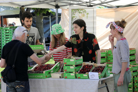 Día de la cereza del Valle de Etxauri