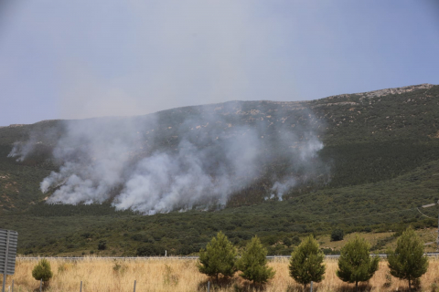 Fotos de los incendios en la Sierra de Leyre, Tafalla y Olleta-Leoz.