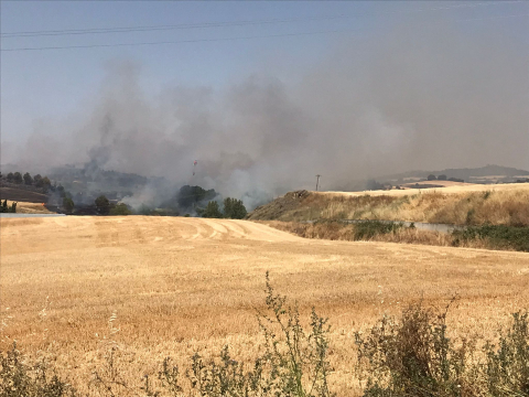 Incendio que ha cortado la carretera entre Tafalla y Artajona.