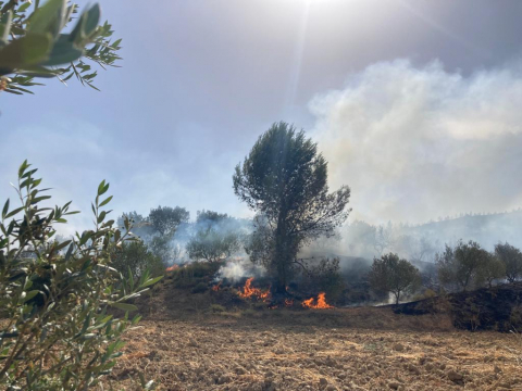 Fotos del incendio entre Obanos y Legarda.