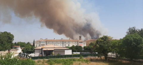 Fotos del incendio entre Obanos y Legarda.