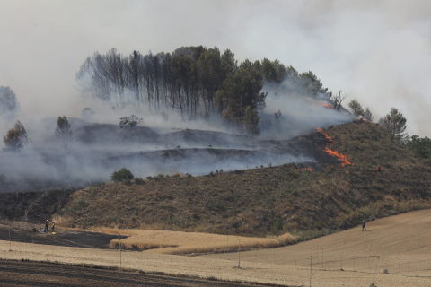 Fotos del incendio producido entre Obanos y Legarda.