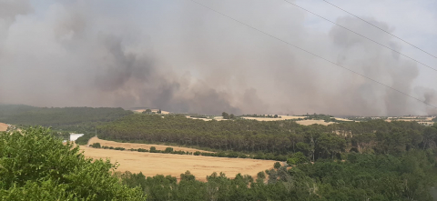 Fotos del incendio producido entre Obanos y Legarda.