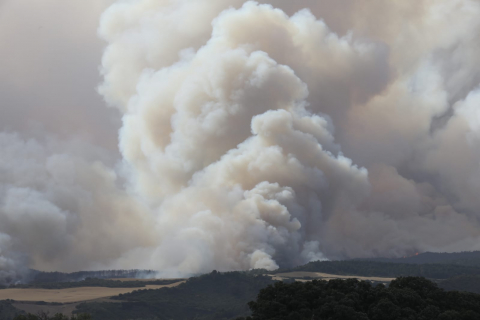 Fotos del incendio producido entre Obanos y Legarda.