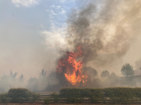 Fotos del incendio producido entre Obanos y Legarda. El fuego ha llegado a la Autovía del Camino.