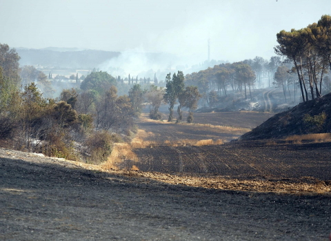 Fotos del incendio producido entre Obanos y Legarda.