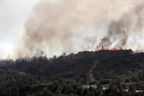 Fotos del incendio producido entre Obanos y Legarda.